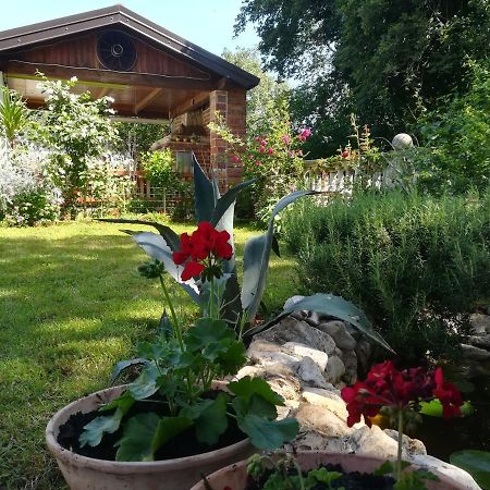 Apartment Cajt Umag Exterior photo